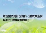 草魚(yú)黑坑用什么餌料（黑坑草魚(yú)餌料配方 送給需要的你）