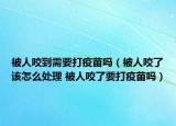 被人咬到需要打疫苗嗎（被人咬了該怎么處理 被人咬了要打疫苗嗎）