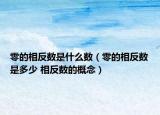 零的相反數(shù)是什么數(shù)（零的相反數(shù)是多少 相反數(shù)的概念）