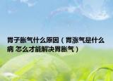 胃子脹氣什么原因（胃漲氣是什么病 怎么才能解決胃脹氣）