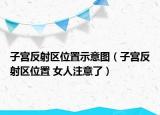 子宮反射區(qū)位置示意圖（子宮反射區(qū)位置 女人注意了）