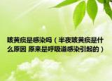 咳黃痰是感染嗎（半夜咳黃痰是什么原因 原來是呼吸道感染引起的）