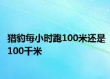 獵豹每小時跑100米還是100千米