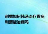 刺猬如何燉湯治療胃病刺猬能治病嗎