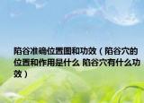 陷谷準(zhǔn)確位置圖和功效（陷谷穴的位置和作用是什么 陷谷穴有什么功效）