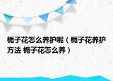 梔子花怎么養(yǎng)護呢（梔子花養(yǎng)護方法 梔子花怎么養(yǎng)）