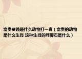 富貴貧賤是什么動物打一肖（富貴的動物是什么生肖 這種生肖的絆腳石是什么）