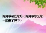狗尾草可以吃嗎（狗尾草怎么吃 一起來了解下）