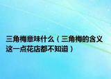 三角梅意味什么（三角梅的含義 這一點花店都不知道）