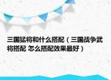 三國猛將和什么搭配（三國戰(zhàn)爭武將搭配 怎么搭配效果最好）