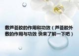 敷蘆薈膠的作用和功效（蘆薈膠外敷的作用與功效 快來了解一下吧）