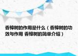 香樟樹的作用是什么（香樟樹的功效與作用 香樟樹的簡單介紹）