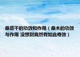 桑葚干的功效和作用（桑木的功效與作用 沒想到竟然有如此奇效）