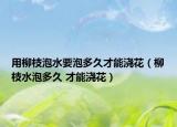 用柳枝泡水要泡多久才能澆花（柳枝水泡多久 才能澆花）