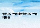 魚臺(tái)縣為什么叫唐魚臺(tái)縣為什么叫堂邑
