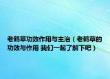 老鶴草功效作用與主治（老鶴草的功效與作用 我們一起了解下吧）