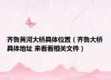 齊魯黃河大橋具體位置（齊魯大橋具體地址 來看看相關(guān)文件）