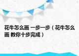 花牛怎么畫 一步一步（花牛怎么畫 教你十步完成）