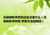 花椒樹秋季修剪應該注意什么（花椒樹秋季修剪 修剪方法別做錯）