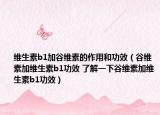 維生素b1加谷維素的作用和功效（谷維素加維生素b1功效 了解一下谷維素加維生素b1功效）