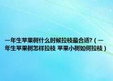 一年生蘋果樹什么時(shí)候拉枝最合適?（一年生蘋果樹怎樣拉枝 蘋果小樹如何拉枝）
