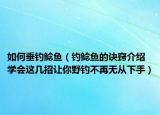 如何垂釣鯰魚（釣鯰魚的訣竅介紹 學(xué)會(huì)這幾招讓你野釣不再無從下手）