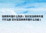 寶唄青年是什么東西（支付寶寶唄青年是干什么的 支付寶寶唄青年是什么功能）