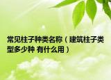 常見柱子種類名稱（建筑柱子類型多少種 有什么用）
