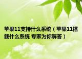 蘋果11支持什么系統(tǒng)（蘋果11搭載什么系統(tǒng) 專家為你解答）