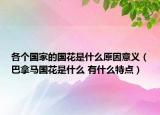 各個國家的國花是什么原因意義（巴拿馬國花是什么 有什么特點）