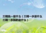 三精統(tǒng)一是什么（三精一水是什么 三精一水指的是什么）