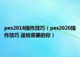 pes2018操作技巧（pes2020操作技巧 送給需要的你）