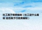 社工屬于哪類編制（社工是什么編制 是否屬于行政類編制）