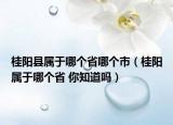 桂陽縣屬于哪個省哪個市（桂陽屬于哪個省 你知道嗎）