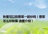 秋葵可以和香菜一起炒嗎（香菜怎么炒秋葵 請看介紹）