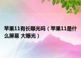 蘋果11有長曝光嗎（蘋果11是什么屏幕 大曝光）