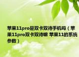 蘋果11pro是雙卡雙待手機嗎（蘋果11pro雙卡雙待嘛 蘋果11的系統(tǒng)參數(shù)）