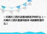 一片兩片三四片這首詩的名字叫什么（一片兩片三四片是誰寫的詩 詩的解析是什么）