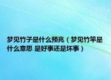 夢見竹子是什么預兆（夢見竹竿是什么意思 是好事還是壞事）