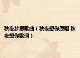 秋夜夢思歌曲（秋夜想你原唱 秋夜想你歌詞）