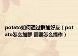 potato如何通過群加好友（potato怎么加群 需要怎么操作）