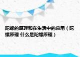 陀螺的原理和在生活中的應(yīng)用（陀螺原理 什么是陀螺原理）