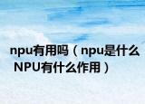 npu有用嗎（npu是什么 NPU有什么作用）