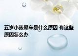 五歲小孩暈車是什么原因 有這些原因怎么辦