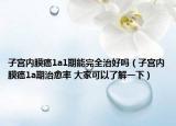 子宮內(nèi)膜癌1a1期能完全治好嗎（子宮內(nèi)膜癌1a期治愈率 大家可以了解一下）