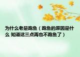 為什么老是跑魚（跑魚的原因是什么 知道這三點再也不跑魚了）