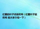 紅薯的葉子還能吃嗎（紅薯葉子能吃嗎 給大家介紹一下）