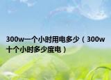 300w一個小時用電多少（300w十個小時多少度電）