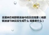 金屬鈉在硫酸銅溶液中的反應(yīng)現(xiàn)象（硫酸銅溶液與鈉反應(yīng)生成什么 現(xiàn)象是什么）