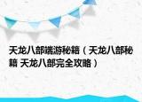 天龍八部端游秘籍（天龍八部秘籍 天龍八部完全攻略）